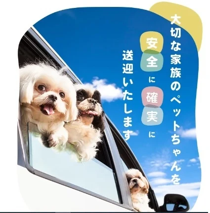 ダウンロード (3)